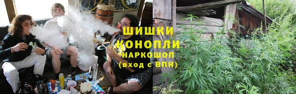 винт Аркадак