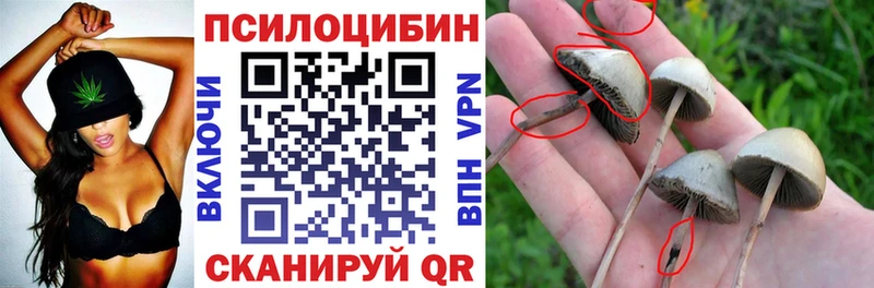 Псилоцибиновые грибы ЛСД кракен вход Нарткала цена