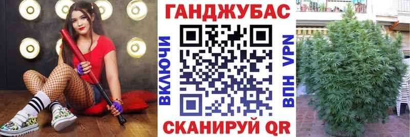 Каннабис сатива  наркотики  Нарткала 